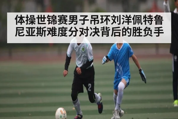体操世锦赛男子吊环刘洋佩特鲁尼亚斯难度分对决背后的胜负手 - NG28